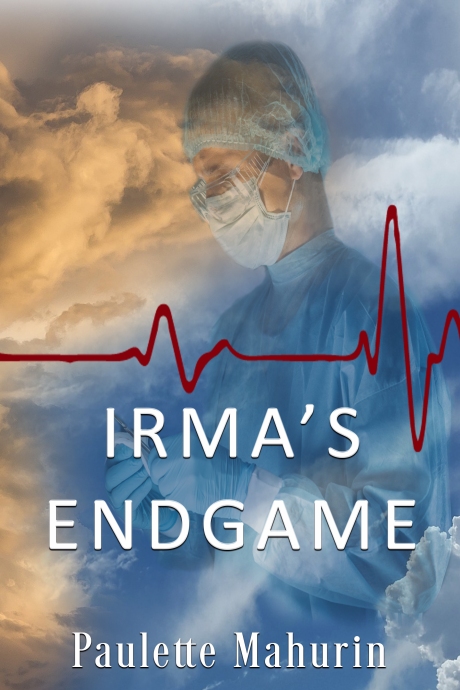 IRMA ENDGAME eBOOK front cover